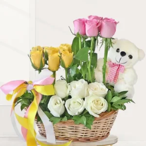 Dreamy Hug Basket - order online for same day delivery in Karachi